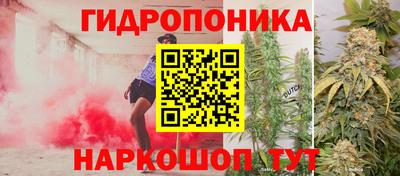 эйфоретик Нальчик